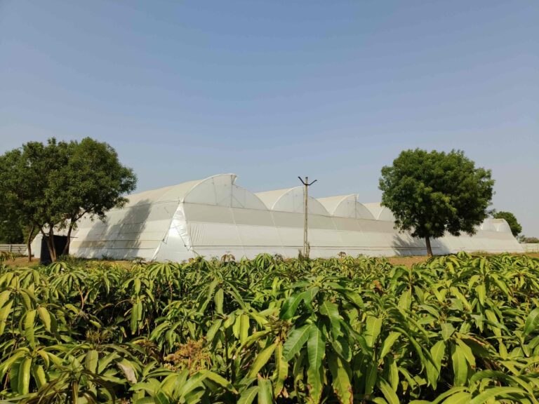 dutt agritech (11)